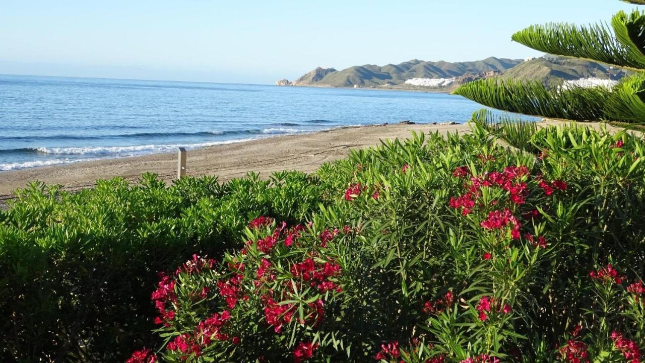 Atico Helena Con Solarium Y Jacuzzi Privado En Laguna Beach Vera Eksteriør billede
